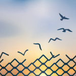 Compensación económica por prisión injusta