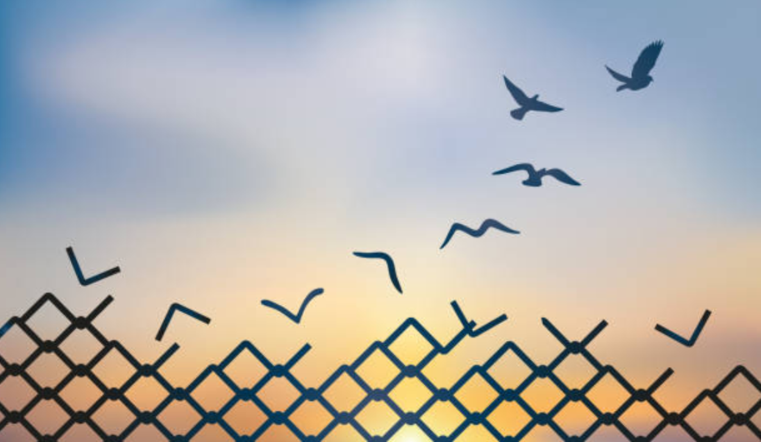 Compensación económica por prisión injusta